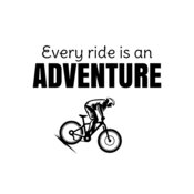 Bicycle 38