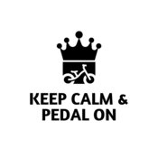 Bicycle 40
