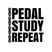 Bicycle 47