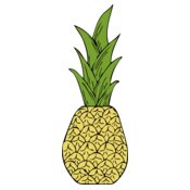 johnny automatic pineapple 1