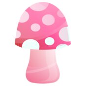 Mushroom  12 